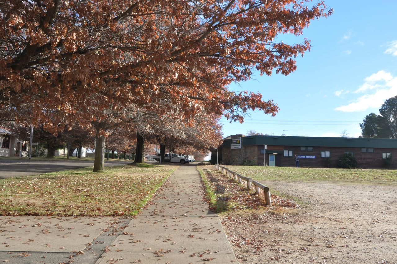 Selwyn Star Lodge Adaminaby Ngoại thất bức ảnh